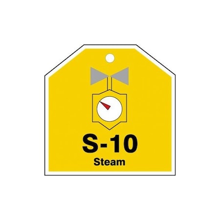 Accuform Energy Source ID Tag, S-10 STEAM, 2.5in x 2.5in, Adhesive Dura-Poly, 5PK TDJ110XVM